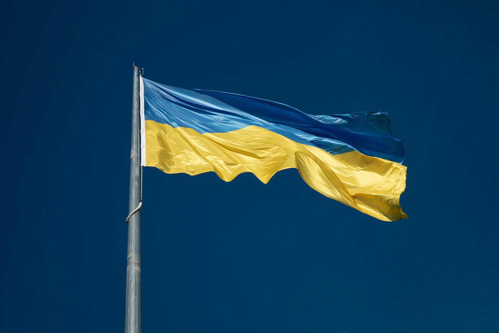 Watch out for these ‘deplorable’ Ukraine-related scams image